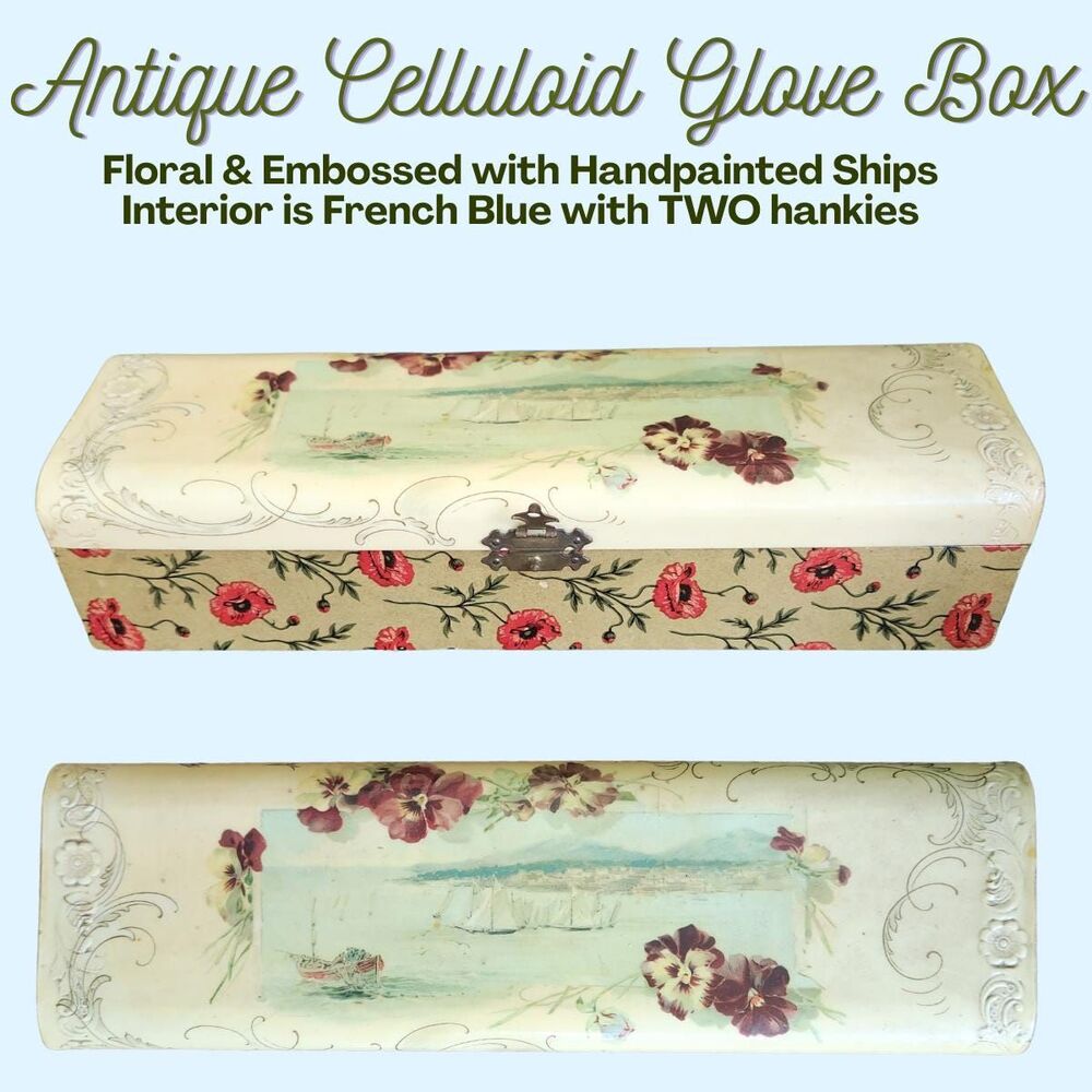 Victorian Celluloid Box | French Blue Silk Interior | Glove - Embossed Flowers